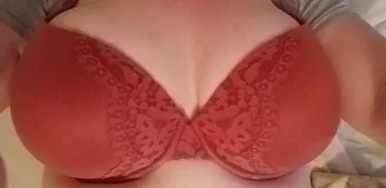 anne-cougar-pau